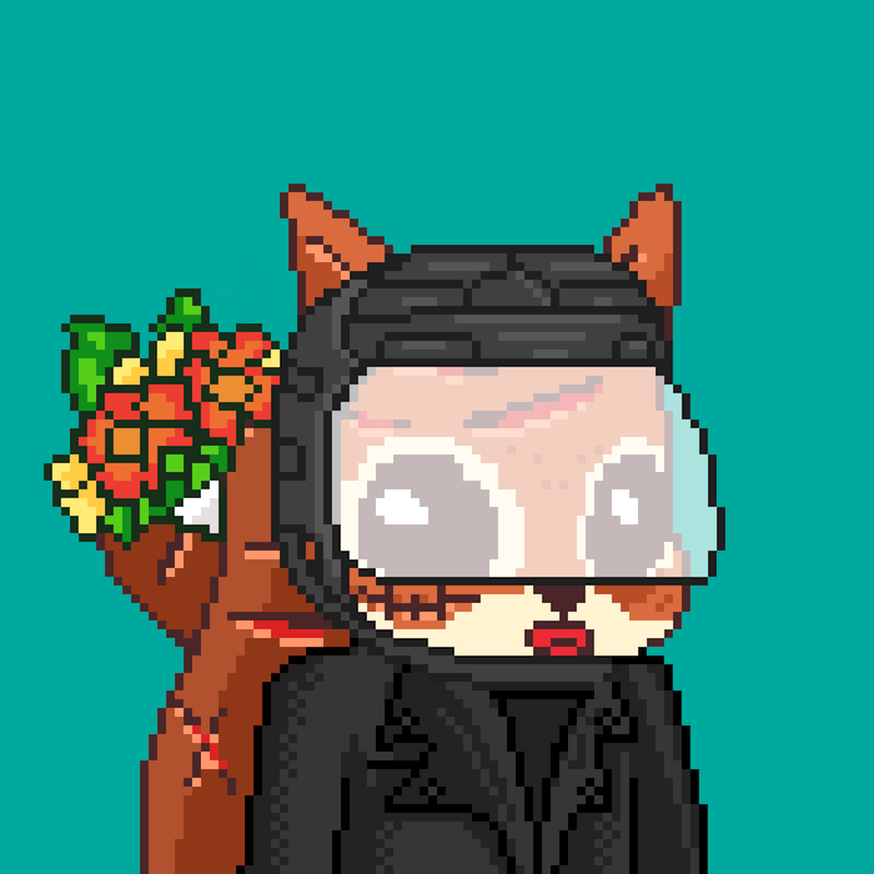 Pixel Squirrels #796